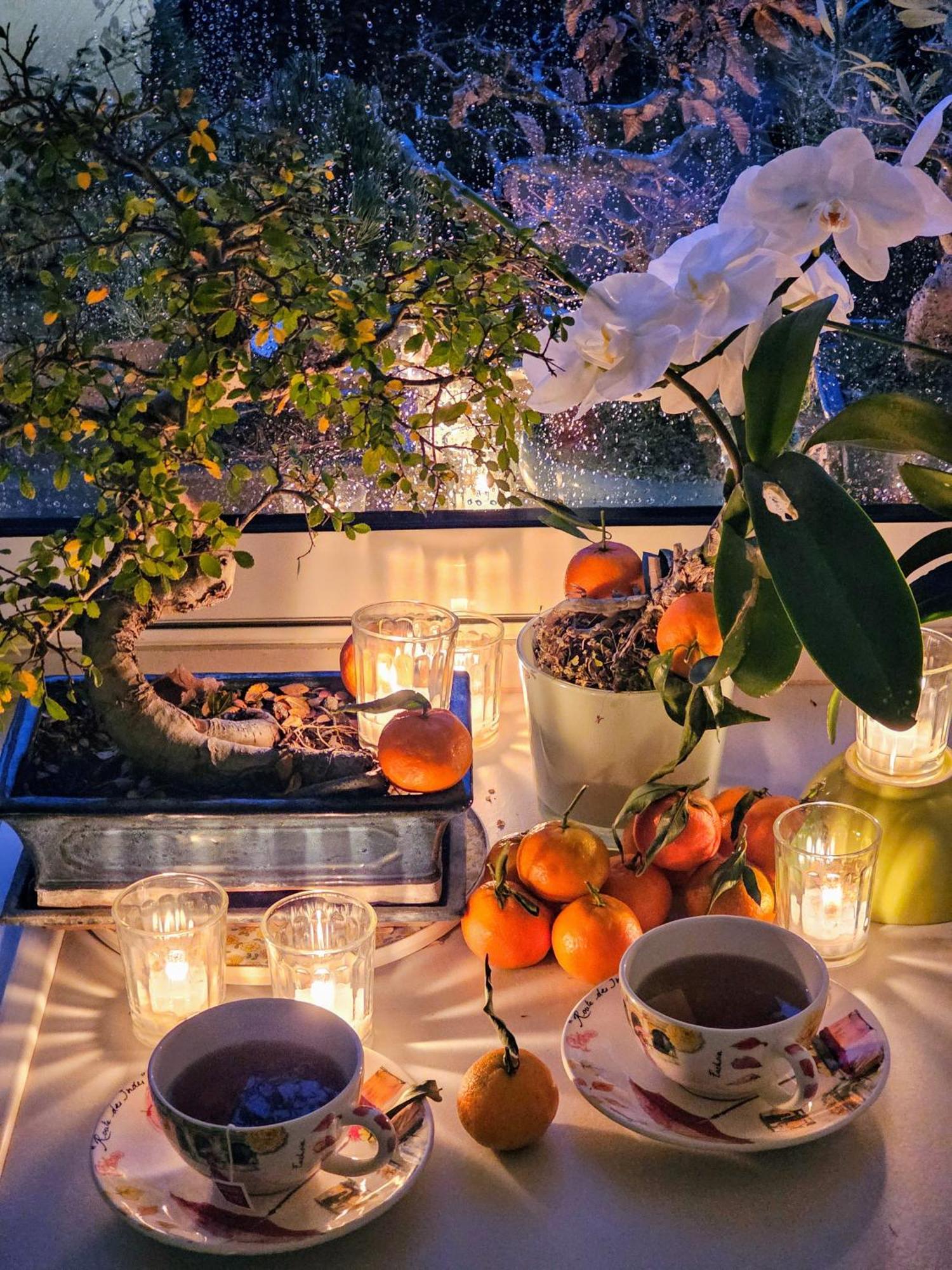 ヴィエンヌTerrasse De Malissolアパートメント エクステリア 写真
